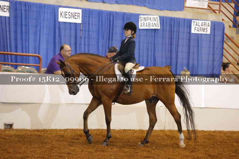 Proof 15R12_09906