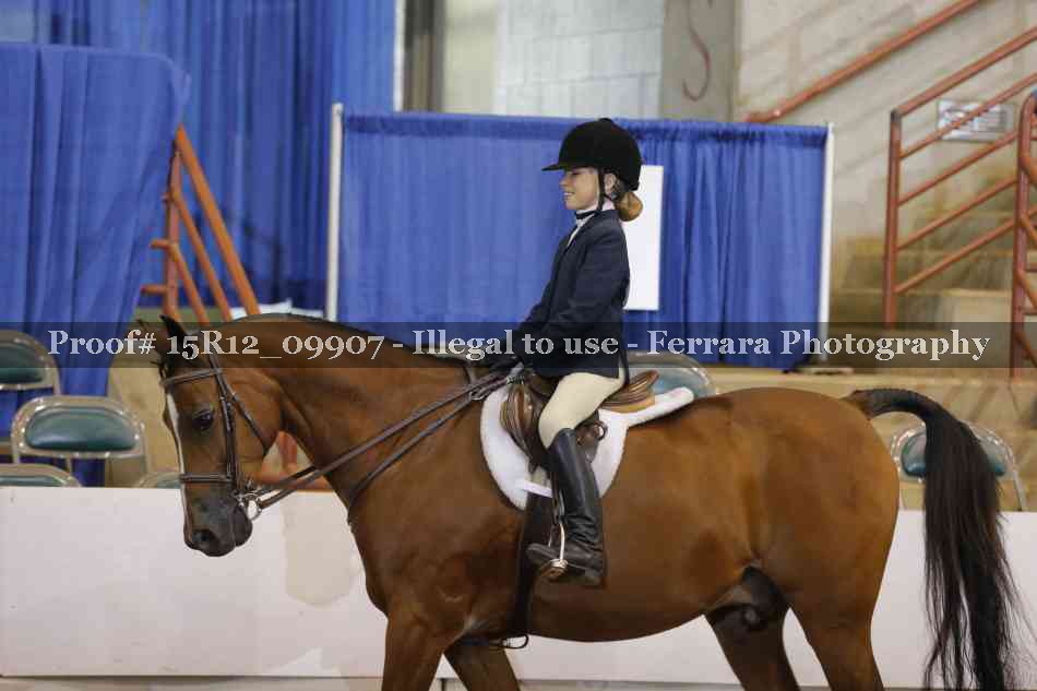 Proof 15R12_09907