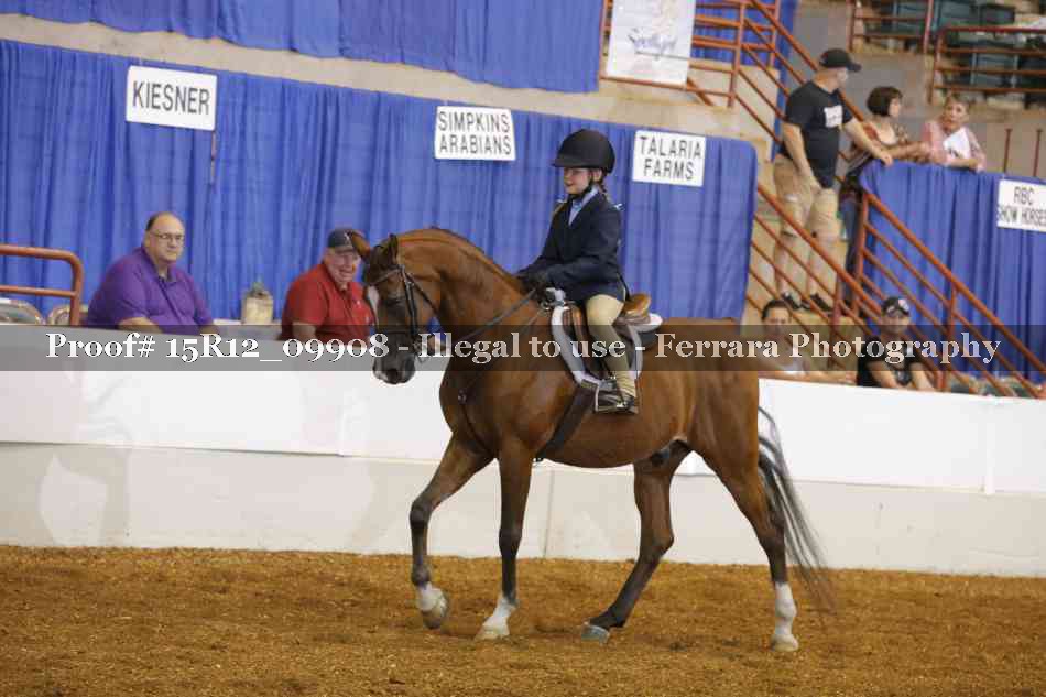 Proof 15R12_09908