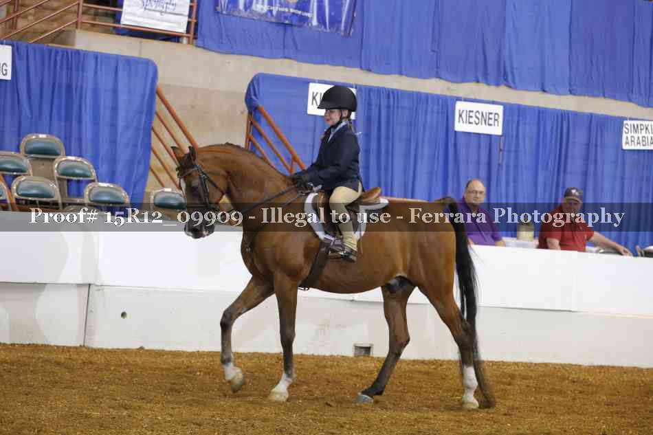 Proof 15R12_09909