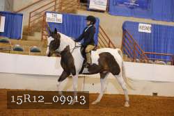 15R12_09913 proof