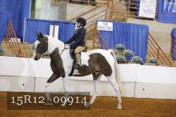 15R12_09914 proof
