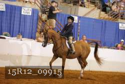 15R12_09915 proof