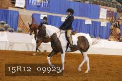 15R12_09923 proof