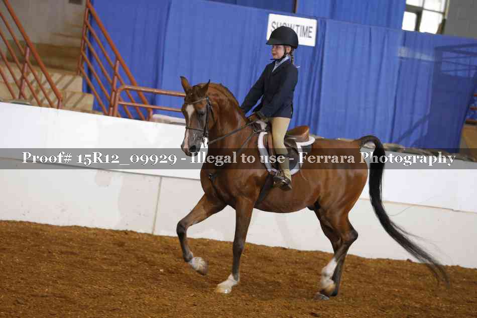 Proof 15R12_09929