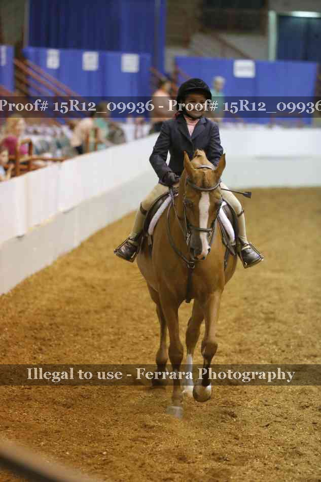 Proof 15R12_09936