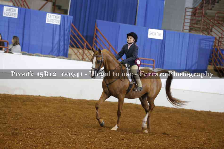 Proof 15R12_09941