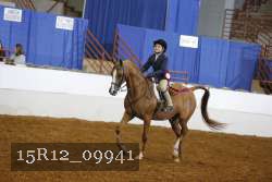 15R12_09941 proof
