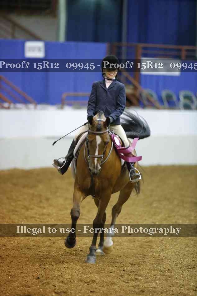 Proof 15R12_09945