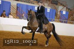 15R12_10012 proof