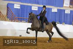 15R12_10015 proof