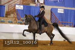 15R12_10016 proof