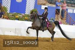 15R12_10029 proof