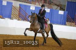 15R12_10033 proof