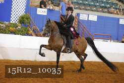 15R12_10035 proof