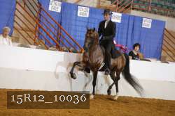 15R12_10036 proof