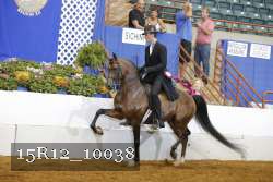15R12_10038 proof