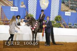 15R12_10046 proof