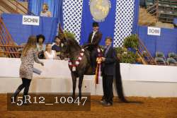 15R12_10047 proof
