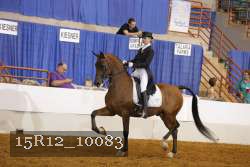 15R12_10083 proof