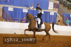 15R12_10087 proof