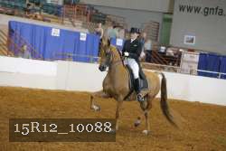 15R12_10088 proof