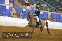 15R12_10089 proof