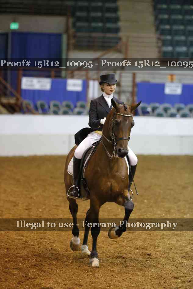 Proof 15R12_10095