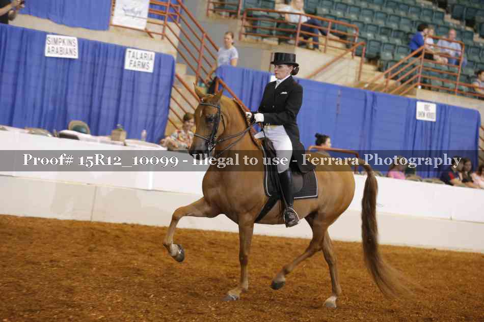 Proof 15R12_10099