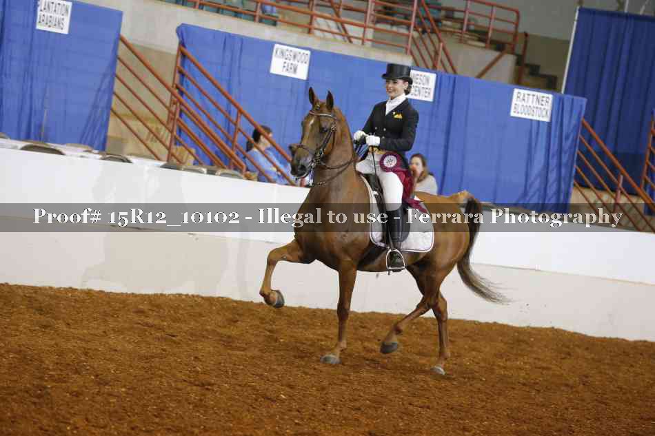 Proof 15R12_10102