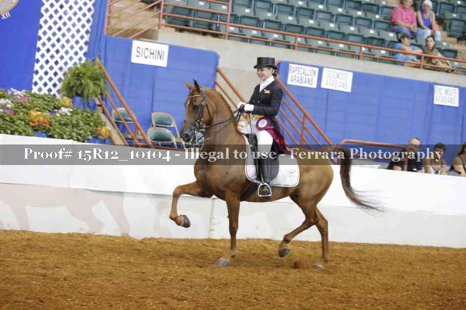 Proof 15R12_10104