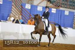 15R12_10106 proof