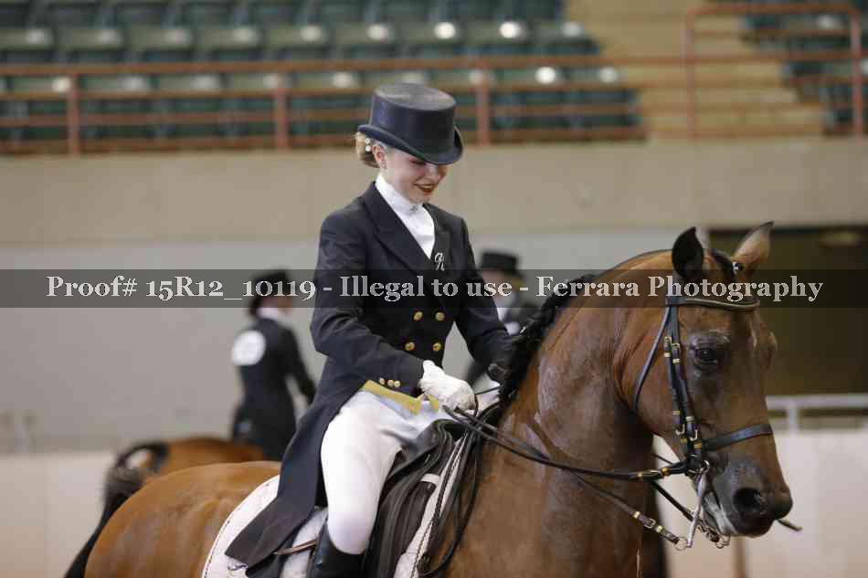 Proof 15R12_10119