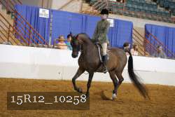 15R12_10258 proof