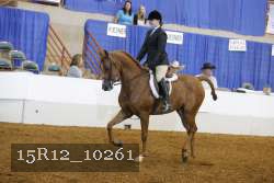 15R12_10261 proof