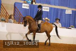 15R12_10264 proof