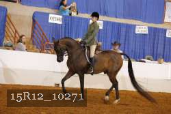 15R12_10271 proof