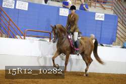 15R12_10282 proof