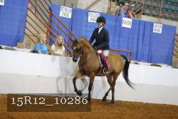 15R12_10286 proof