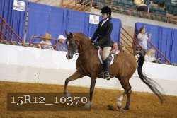 15R12_10370 proof