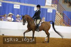 15R12_10371 proof