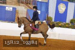 15R12_10384 proof