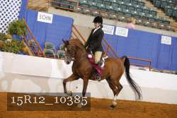 15R12_10385 proof