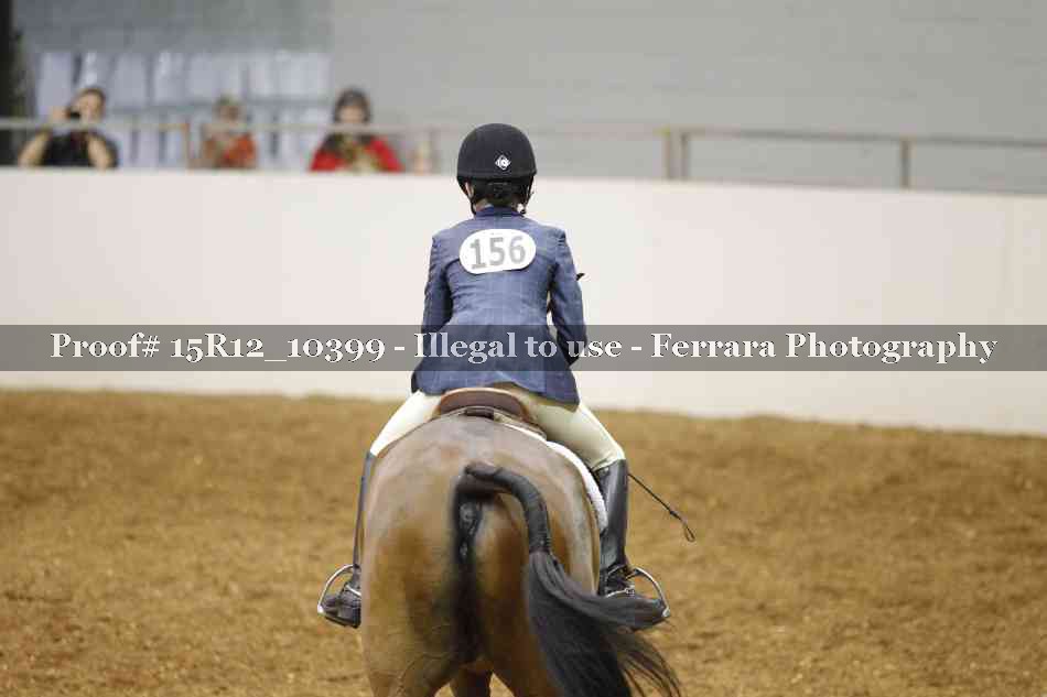 Proof 15R12_10399