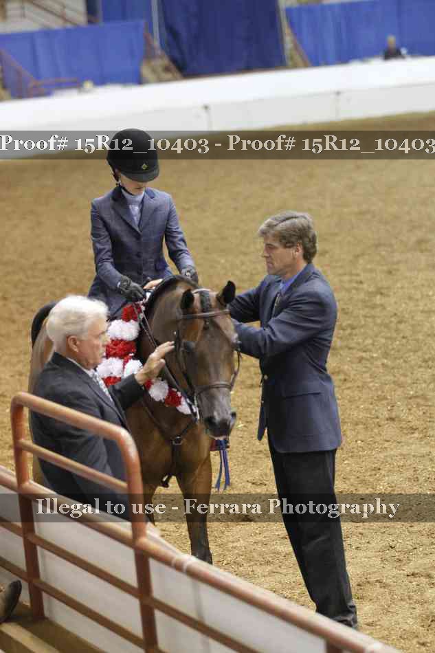 Proof 15R12_10403