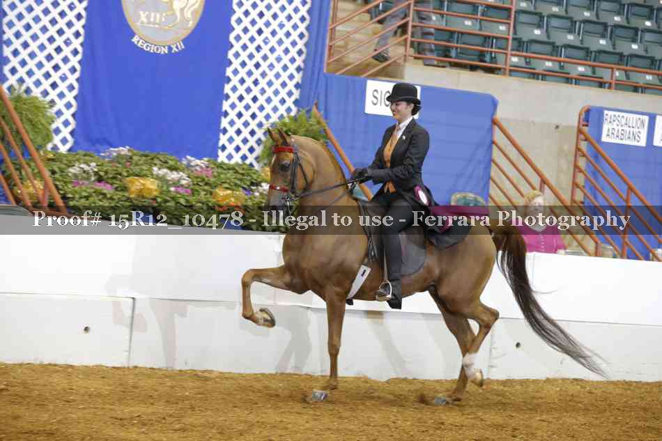 Proof 15R12_10478