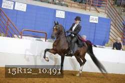 15R12_10491 proof