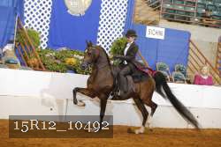 15R12_10492 proof