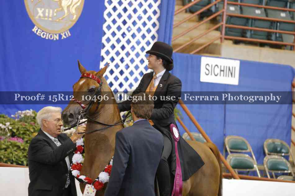Proof 15R12_10496