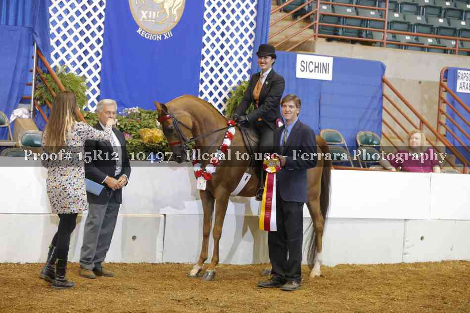Proof 15R12_10497